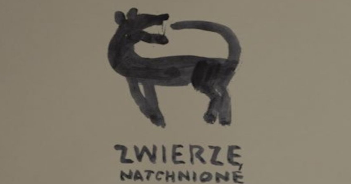 Koncert zespołu "Zwierzę Natchnione" (foto+video)