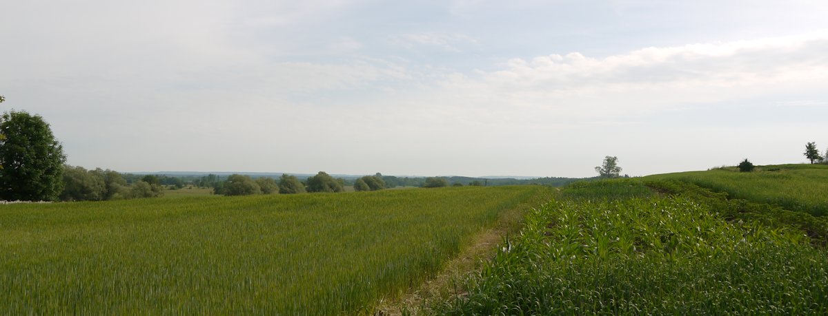 KAWIARNIA LITERACKA ZAPRASZA... “Pejzaż słowem malowany&quot; (foto+video)