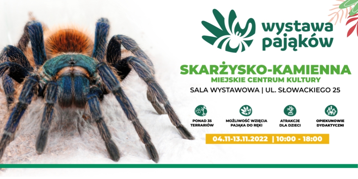Wystawa pająków