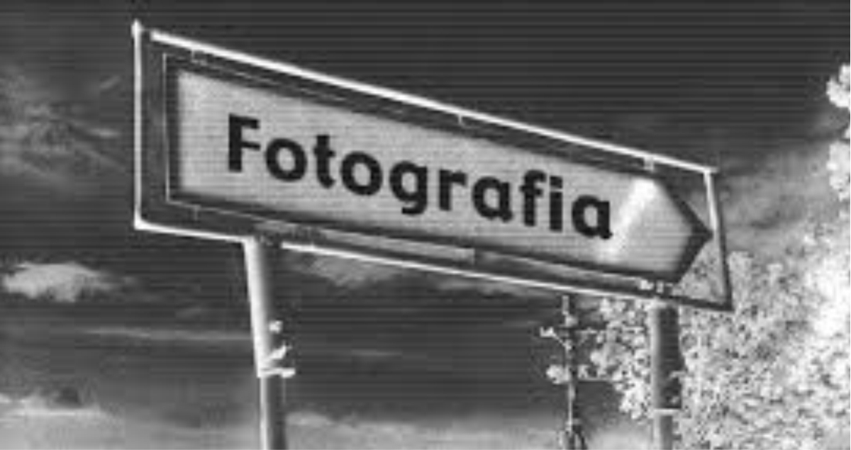 Warsztaty fotograficzne