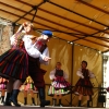 Przegląd Szydłowiec - 2009