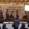Przegląd Szydłowiec - 2009