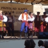 Przegląd Szydłowiec - 2009