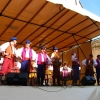 Przegląd Szydłowiec - 2009