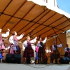Przegląd Szydłowiec - 2009