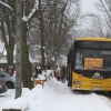 Kolorowy autobus - 2009