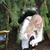 RYDNO 2010