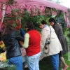 RYDNO 2010
