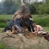 RYDNO 2010