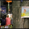 Muzyką do Nieba 2011