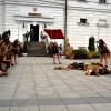 Pierwszy Festiwal krzemienia pasiastego - SANDOMIERZ