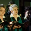 Koncert Noworoczny Kolęd - Chór MEZZOFORTE