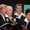 Koncert wiosenny Chóru MEZZOFORTE