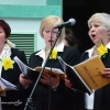 Koncert wiosenny Chóru MEZZOFORTE