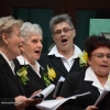 Koncert wiosenny Chóru MEZZOFORTE