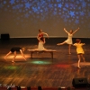 OFZT 2014
