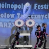 OFZT 2014