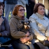 Muzyką do Nieba 2014