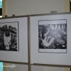 Wystawa &quot;AKT w polskiej fotografii&quot;