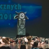 XIV Ogólnopolski Festiwal Zespołów Tanecznych SKARŻYSKO 2015