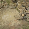 Piknik Archeologiczny RYDNO