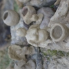 Piknik Archeologiczny RYDNO