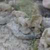 Piknik Archeologiczny RYDNO