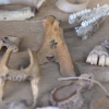 Piknik Archeologiczny RYDNO