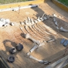 Piknik Archeologiczny RYDNO