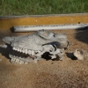 Piknik Archeologiczny RYDNO