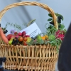 Dożynki Powiatowo - Gminne 2015