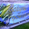 Dożynki Powiatowo - Gminne 2015
