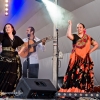Dożynki Powiatowo - Gminne 2015