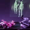 Spektakl Teatru Ad Spectatores z Wrocławia pt. „Obcy z Mons”