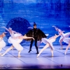 Jezioro łabędzie w wykonaniu Imperial Lviv Ballet 