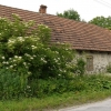 Plener Literacki WIKLINY