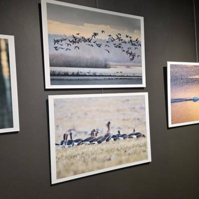 Wernisaż wystawy fotografii „Podlasie bez pośpiechu” autorstwa Krystiana Dróżdża